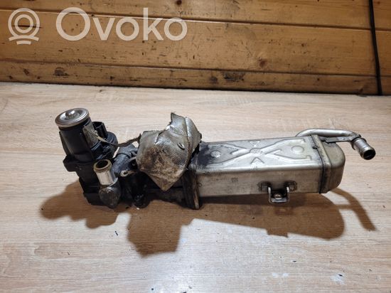 Volkswagen PASSAT B7 EGR valve 11725505