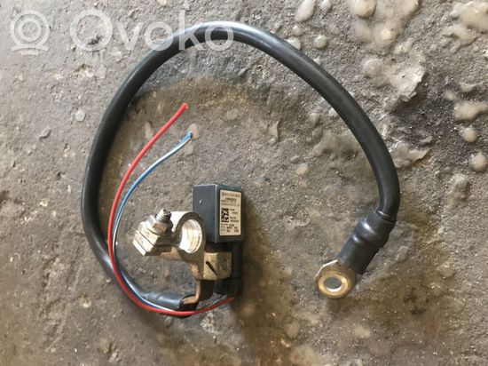 Mercedes-Benz E W212 Negative earth cable (battery) A1665420418