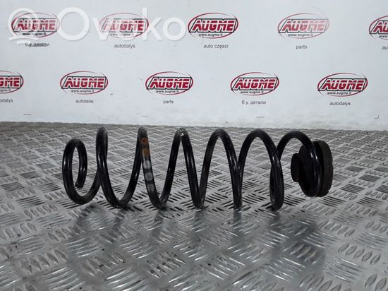 Volkswagen New Beetle Rear coil spring