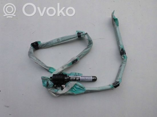 Volkswagen PASSAT B7 Roof airbag 3C0880742G