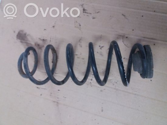 Volkswagen New Beetle Rear coil spring