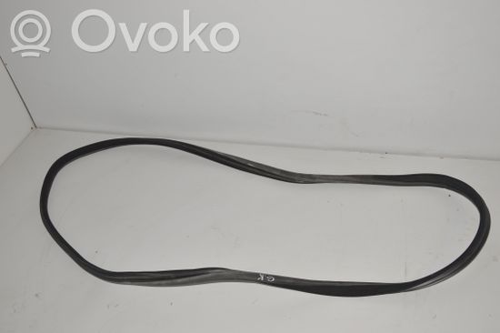 Mercedes-Benz S W220 Rear door rubber seal (on body)