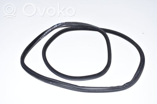 BMW 5 F10 F11 Rear door rubber seal (on body) 7199775