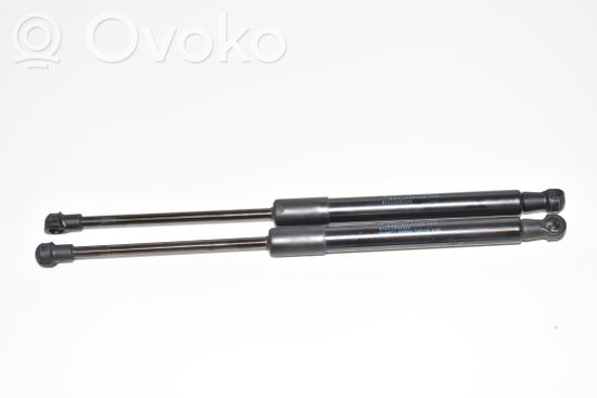 BMW X1 E84 Front bonnet/hood damper/strut 2990344