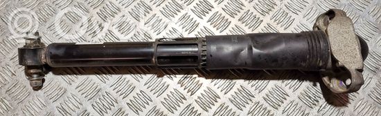 Volkswagen ID.3 Rear shock absorber/damper 1EA512Q11AD