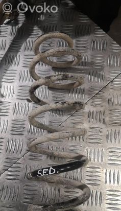 Volkswagen PASSAT B6 Rear coil spring