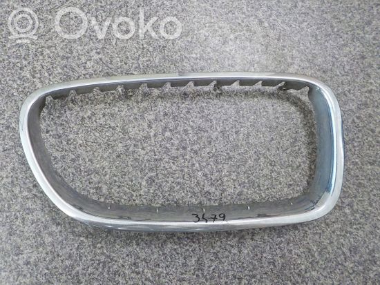 BMW 5 F10 F11 Front grill
