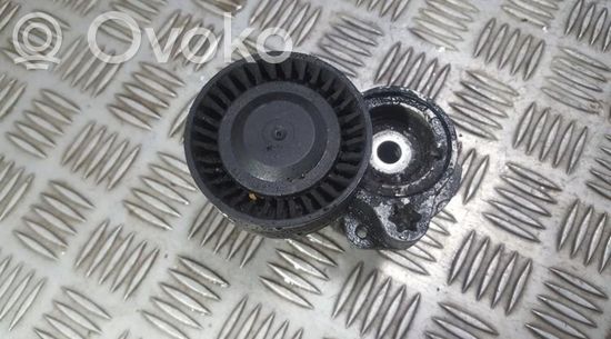 BMW X5 E53 Generator/alternator belt tensioner 11287505224 11.28-7505224  1128-7505224  F-2312453  F2312453 11287505224 11.28-7505224  1128-7505224  F-2312453  F2312453