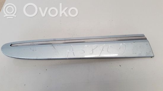 Mercedes-Benz CLK A209 C209 Fender trim (molding) A2096902562 A2096902562