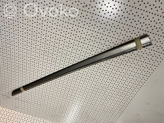 Mercedes-Benz A W169 Front door trim (molding) A1696900462