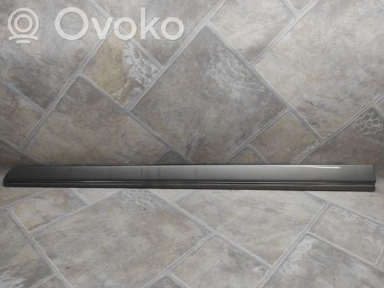 Mercedes-Benz B W245 Front door trim (molding) A1696983662