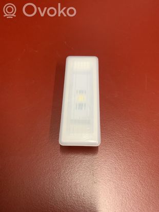 BMW X3 G01 Front door interior light 9313574