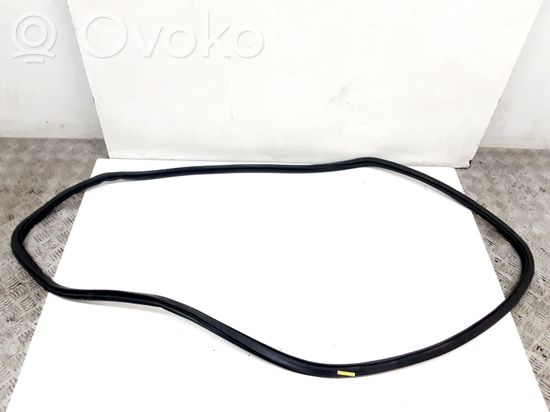 Volkswagen PASSAT B7 USA Front door rubber seal 561867911