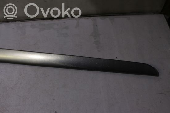 Audi A4 S4 B6 8E 8H Front door trim (molding)