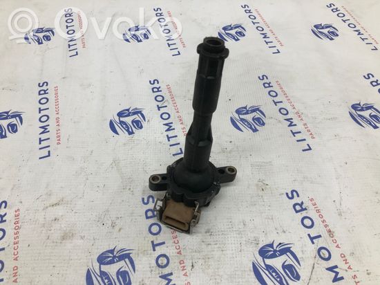 BMW X5 E53 High voltage ignition coil 1748017