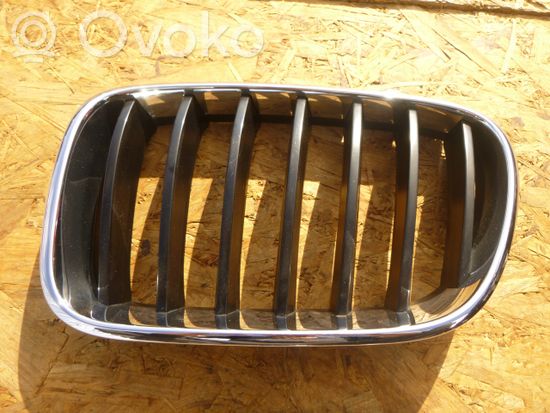 BMW X3 F25 Front grill 51117210725