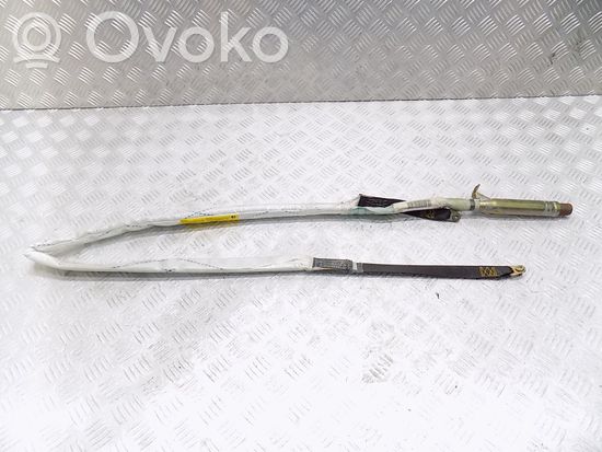 BMW 5 E39 Roof airbag