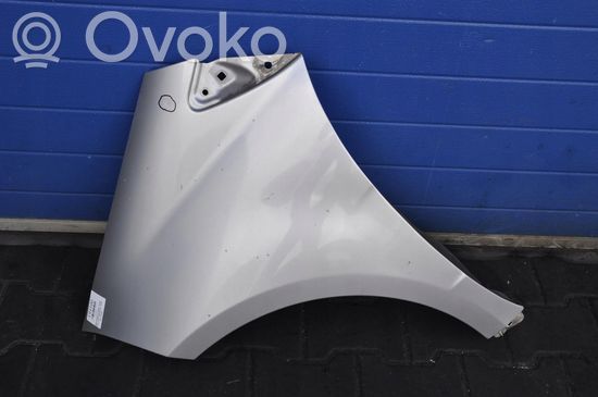 Mercedes-Benz A W169 Fender