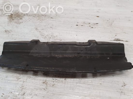 BMW 1 E82 E88 Radiator trim