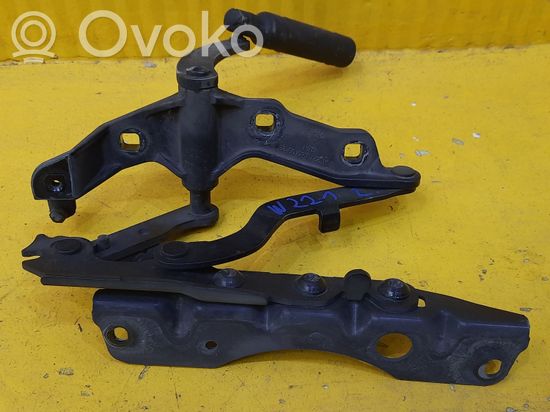 Mercedes-Benz S W221 Engine bonnet/hood hinges A2218800328