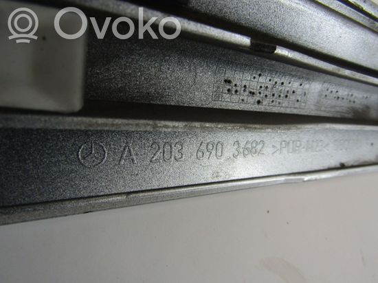 Mercedes-Benz CLC CL203 Front door trim (molding) A2036903682