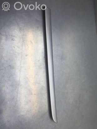 Audi A4 S4 B7 8E 8H Rear door card trim 8E0867420