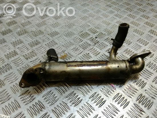 Volkswagen Crafter EGR valve cooler 076131512F