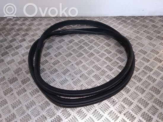 BMW X6 F16 Rubber seal rear door 7317822