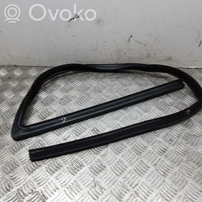 Mercedes-Benz S W220 Rubber seal front door window/glass