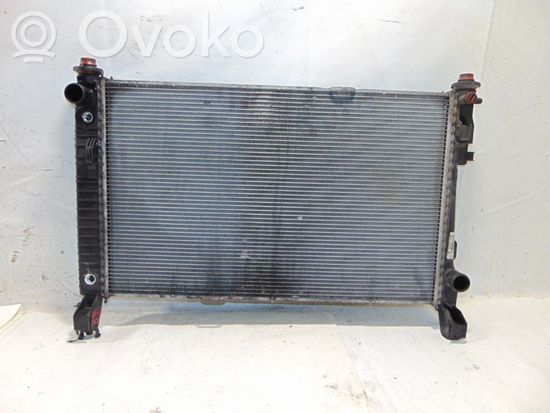 A1695002103 A1695003604 Mercedes-Benz B W245 Coolant radiator ...