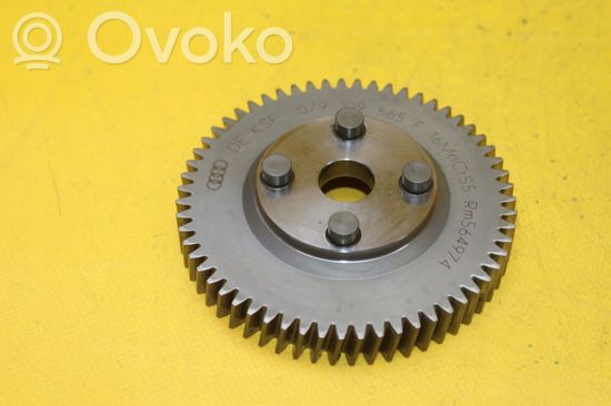 Audi A8 S8 D3 4E Timing chain sprocket 079109565F