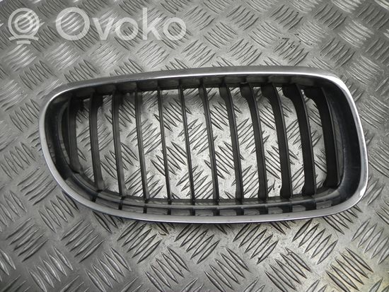 BMW 1 E81 E87 Front grill 7201968 T6790