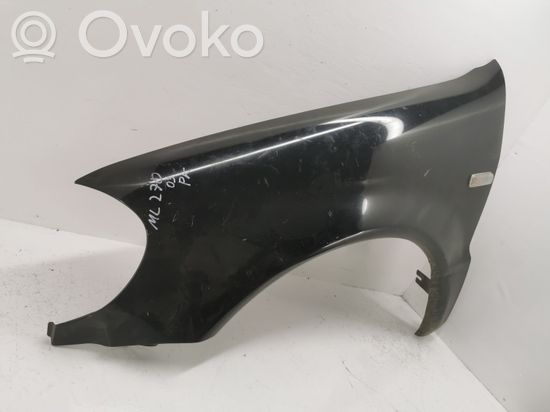 Mercedes-Benz ML W163 Fender