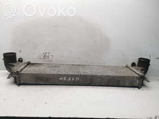 BMW X5 E53 Intercooler radiator 20030325223220