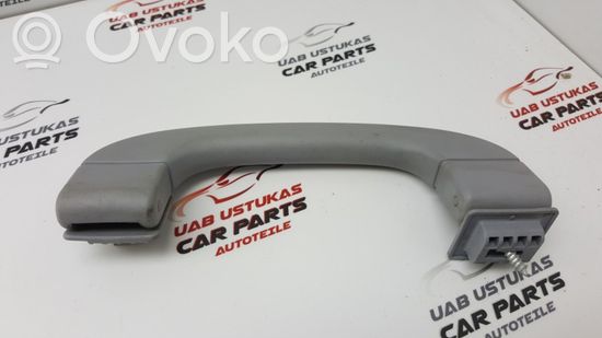 BMW 1 E81 E87 Front interior roof grab handle 7033659