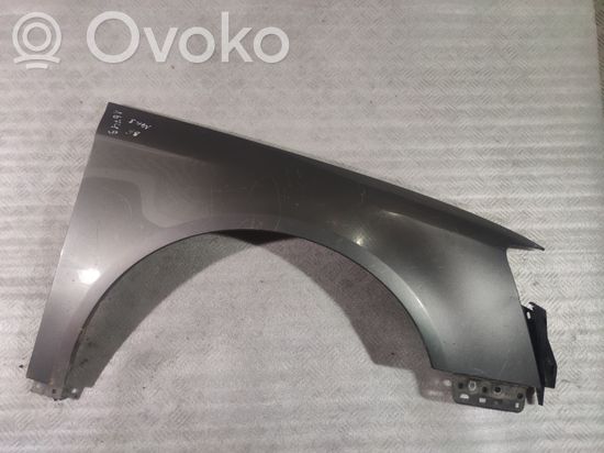Volkswagen PASSAT B6 Fender