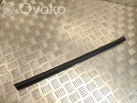 BMW X5 E70 Rubber seal rear door window/glass 4425133