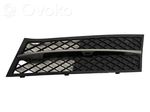 51117231859 BMW 5 F10 F11 Unteres Gitter dreiteilig vorne, 19.00  