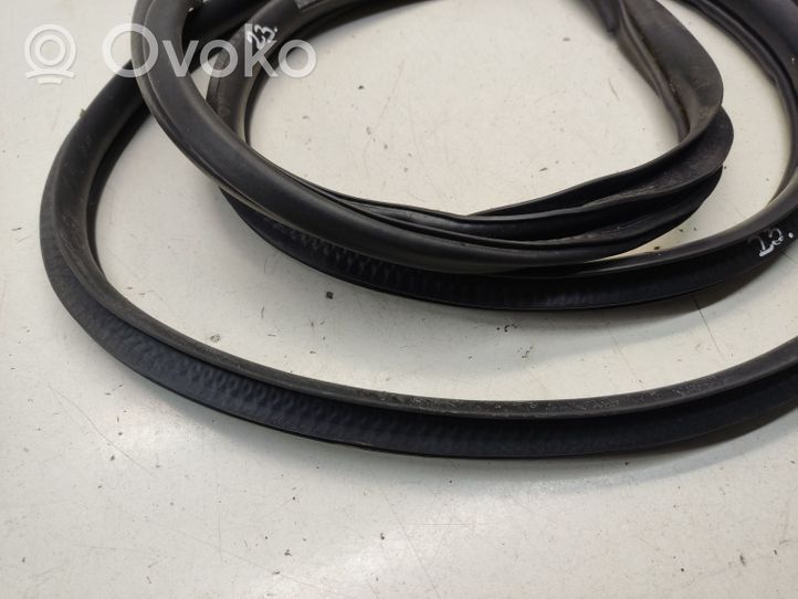 Mitsubishi Outlander Rear door rubber seal (on body) 