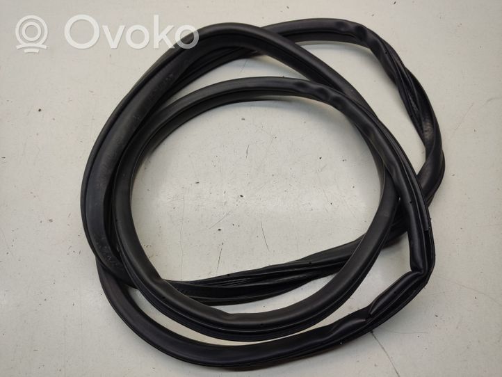 Mitsubishi Outlander Front door rubber seal 