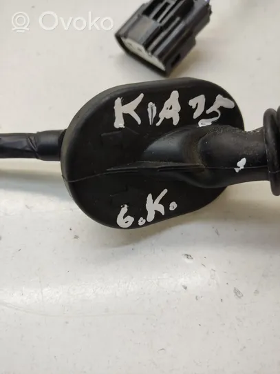 KIA Sportage Rear door wiring loom 916503U510
