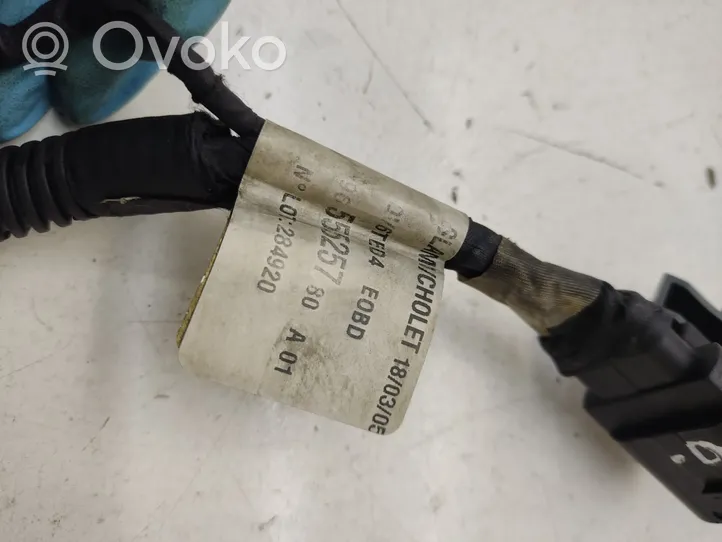 Ford C-MAX I Ignition plug leads 96555257