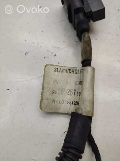 Ford C-MAX I Ignition plug leads 96555257