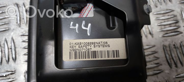 Audi S5 Airbag per le ginocchia 8K1880918