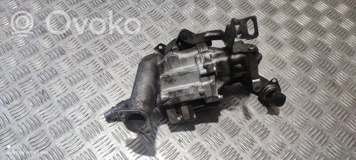 Volvo S60 EGR vožtuvas 50563902