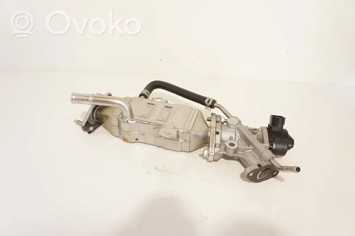 Toyota C-HR EGR-venttiili/lauhdutin 25601-0T010-A