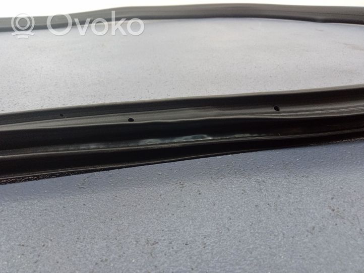 Ford Puma Front door rubber seal L1TB-S253A10