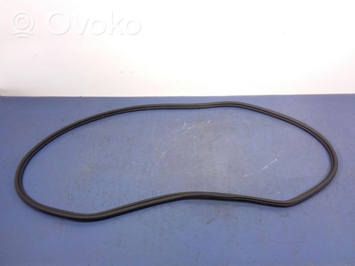 BMW X7 G07 Front door rubber seal 7431142