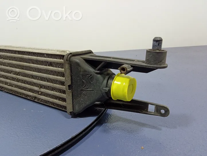 Fiat Punto (199) Chłodnica powietrza doładowującego / Intercooler 51836369