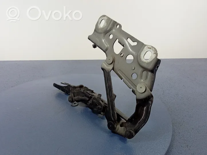 BMW 5 G30 G31 Cerniere del vano motore/cofano 7347408